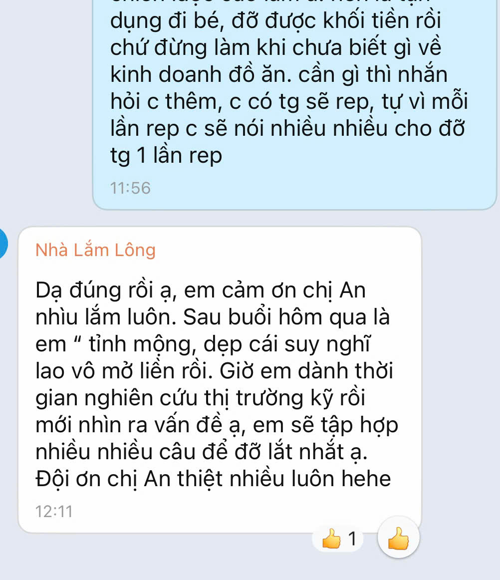 Feedback tỉnh mộng
